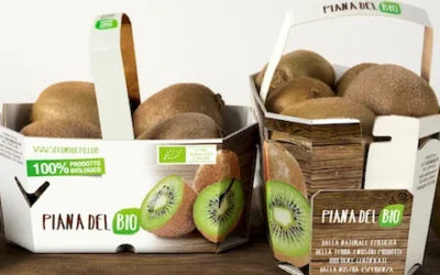 Secondulfo lancia «Piana del Bio»