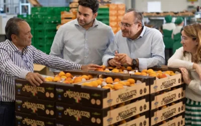 Oscar Ortofrutta Italiana 2018 a Salvatore Secondulfo, titolare di 5 aziende a Battipaglia