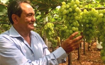 L’oscar dell’ortofrutta a Secondulfo